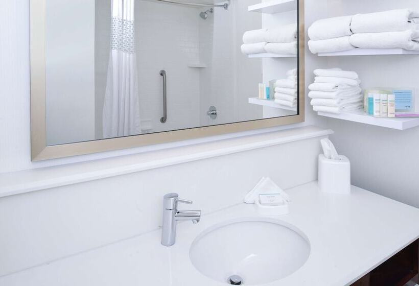 חדר סטנדרט, Hampton Inn Carbondale