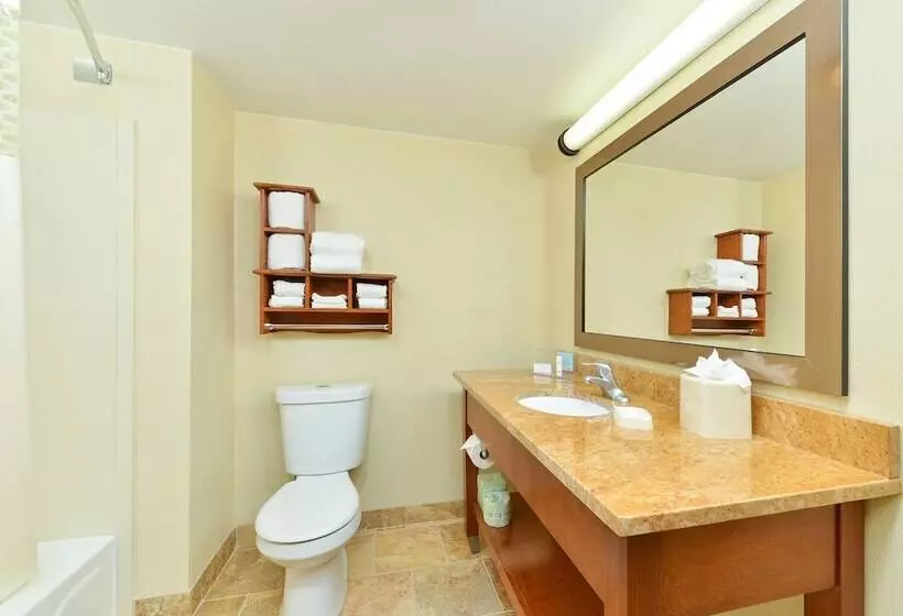 ２ダブルベッドのスタンダードルーム, Hampton Inn Chicagocarol Stream