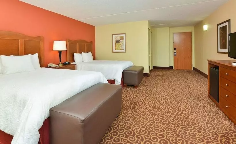 ２ダブルベッドのスタンダードルーム, Hampton Inn Chicagocarol Stream