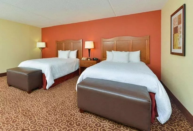 ２ダブルベッドのスタンダードルーム, Hampton Inn Chicagocarol Stream