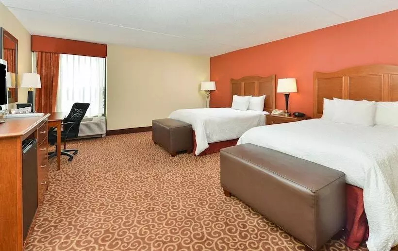 ２ダブルベッドのスタンダードルーム, Hampton Inn Chicagocarol Stream