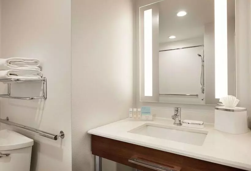 اتاق استاندارد با 2 تخت دوبل, Hampton Inn Dulles Cascades