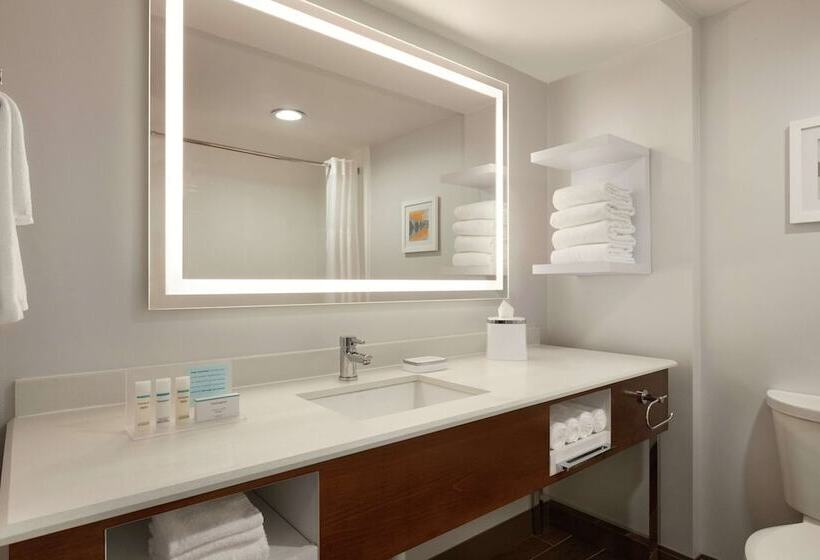 스탠다드 룸 더블 침대 2개, Hampton Inn Dulles Cascades