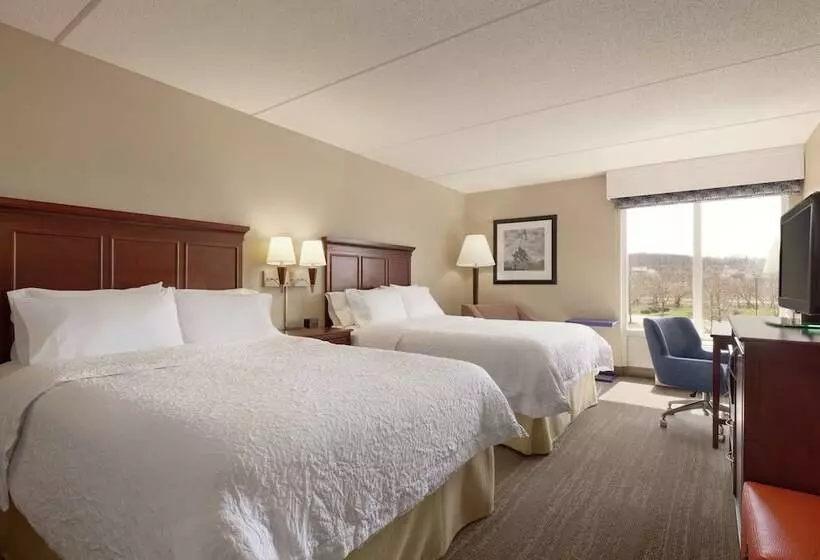 اتاق استاندارد با 2 تخت دوبل, Hampton Inn Dulles Cascades