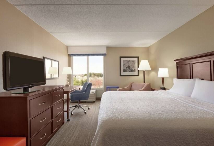 디럭스 룸, Hampton Inn Dulles Cascades