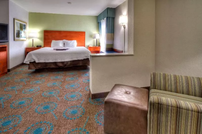 キングサイズベッドのスイートルーム, Hampton Inn Goldsboro Nc