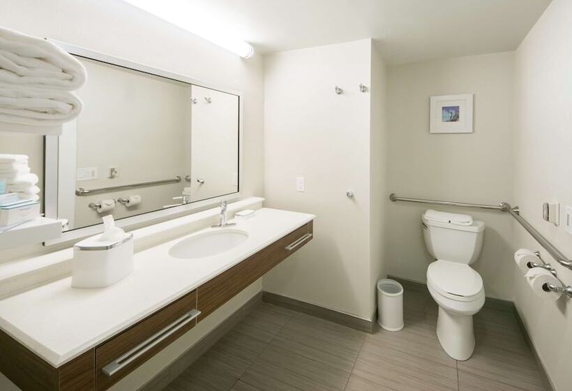 غرفة قياسية لذوى الاحتياجات الخاصة, Hampton Inn Lakeland