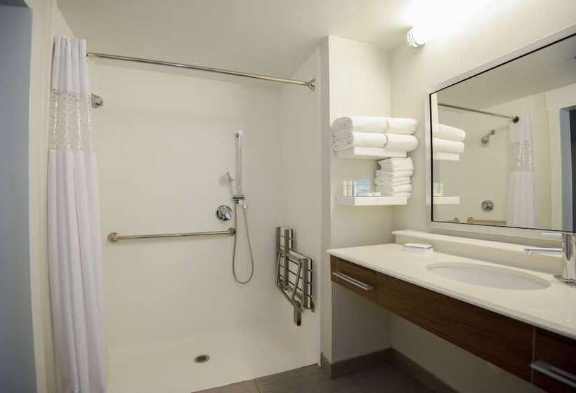 غرفة قياسية لذوى الاحتياجات الخاصة, Hampton Inn Lakeland