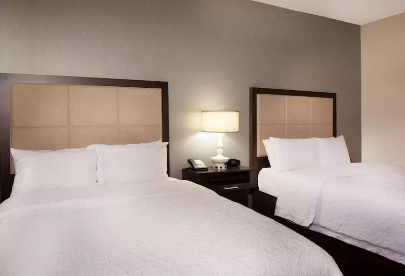 ２ダブルベッドのスタンダードルーム, Hampton Inn Lawrenceville