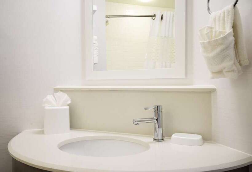 套房, Hampton Inn Philadelphia/plymouth Meeting