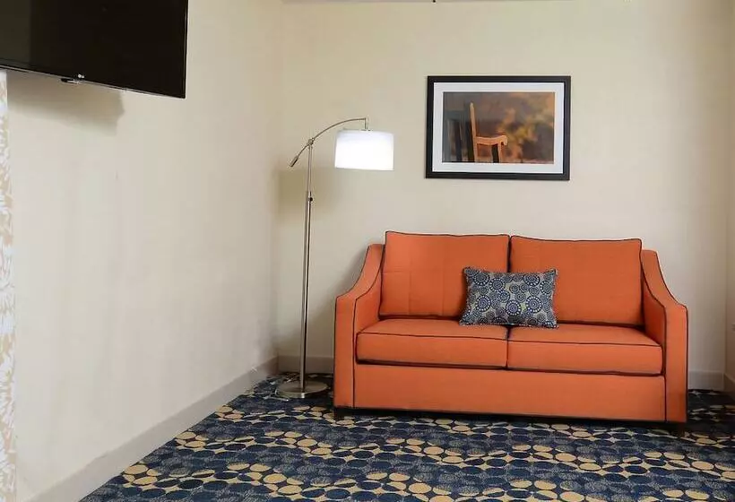 スタンダードルーム, Hampton Inn Roxboro