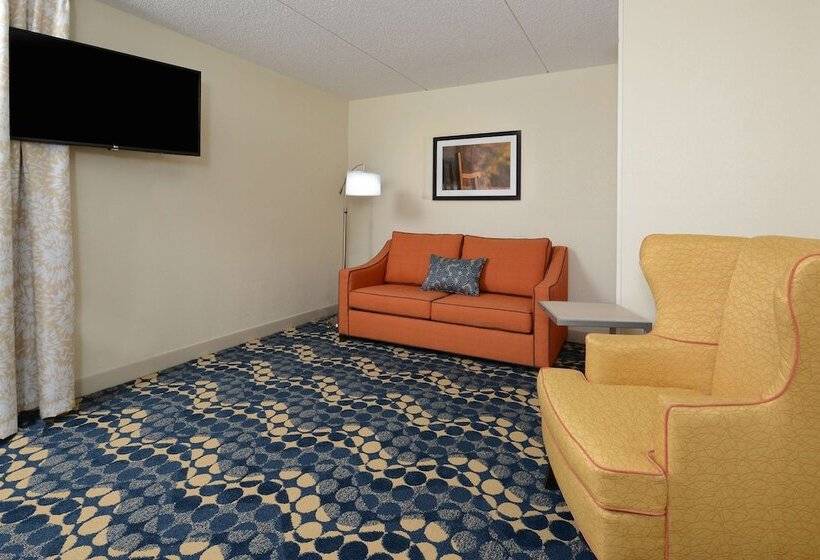 غرفة قياسية, Hampton Inn Roxboro