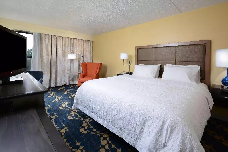 キングサイズベッドのスタンダードルーム, Hampton Inn Roxboro