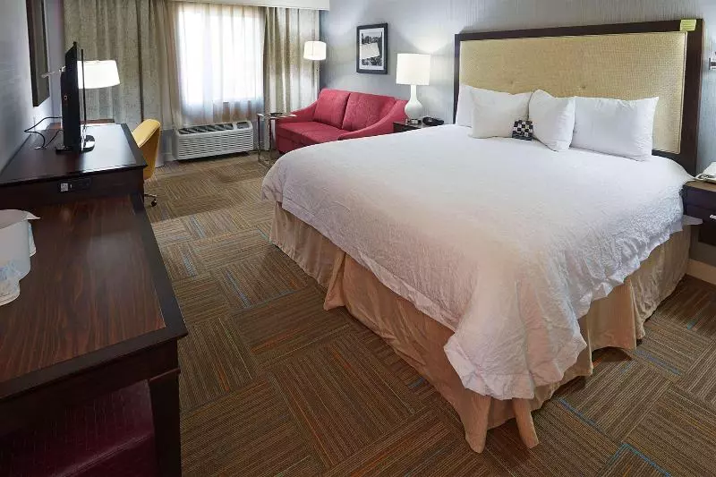 اتاق استاندارد با تخت بزرگ, Hampton Inn Salt Lake City Central