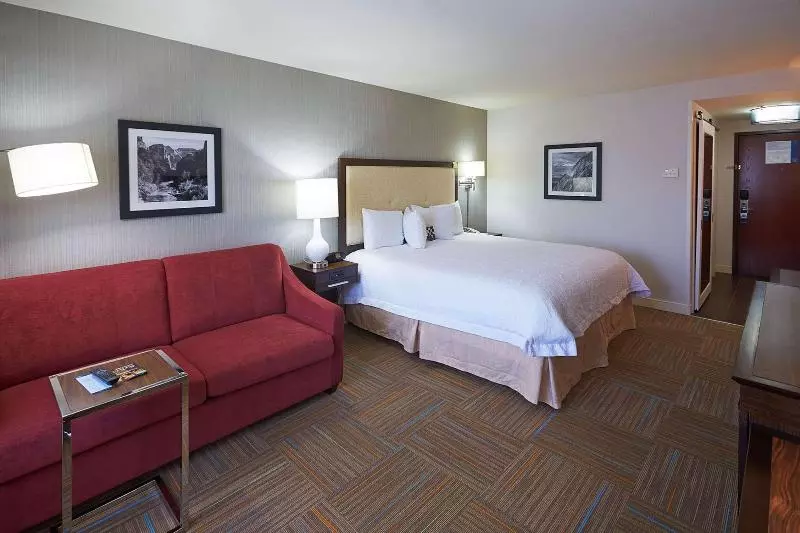 اتاق استاندارد با تخت بزرگ, Hampton Inn Salt Lake City Central