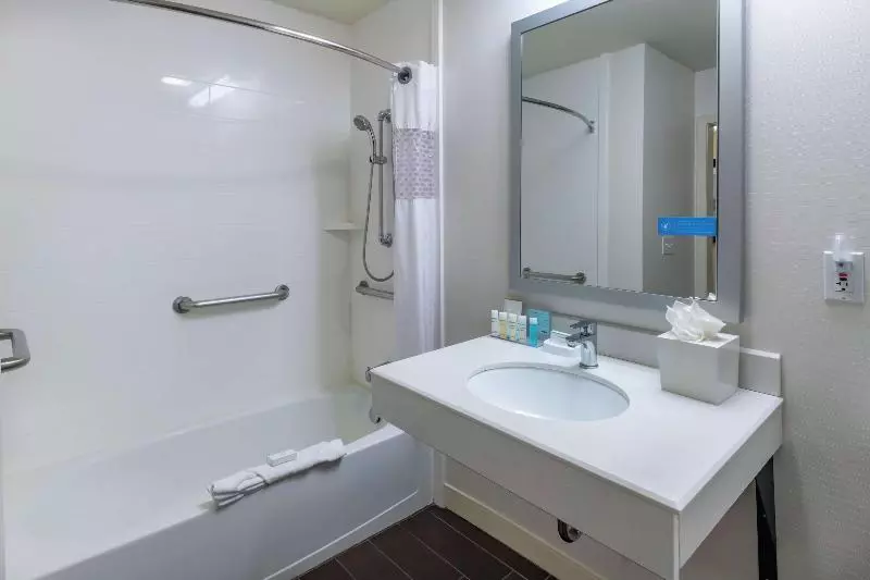 اتاق استاندارد با تخت بزرگ, Hampton Inn Salt Lake City Central