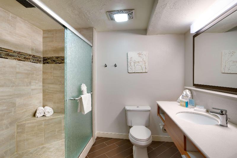 جناح سرير كينج, Hampton Inn Salt Lake City Central