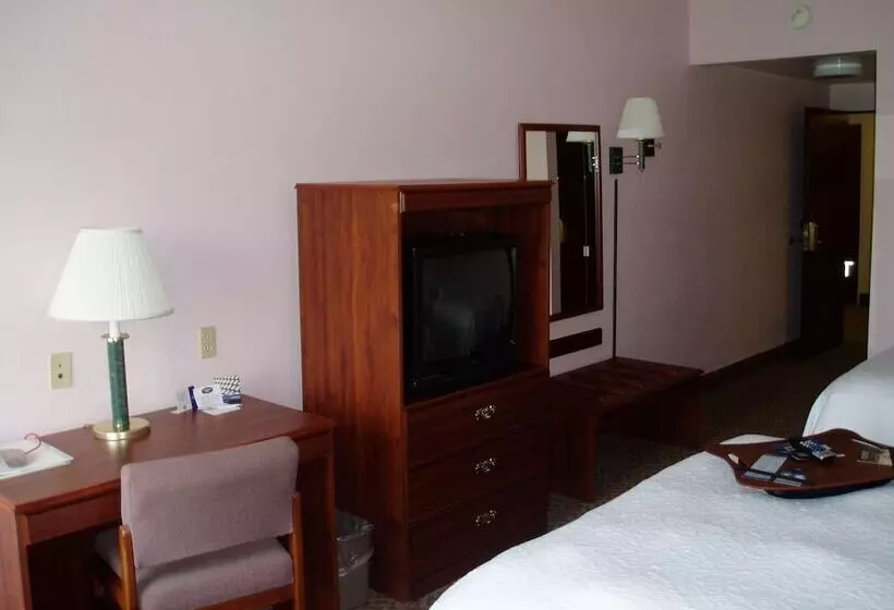 スタンダードルーム, Hampton Inn Spring Hill
