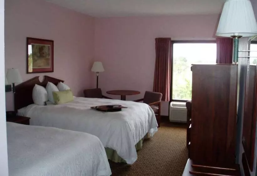 スタンダードルーム, Hampton Inn Spring Hill