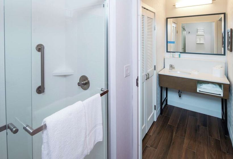 Люкс, Hampton Inn & Suites Binghamton/vestal