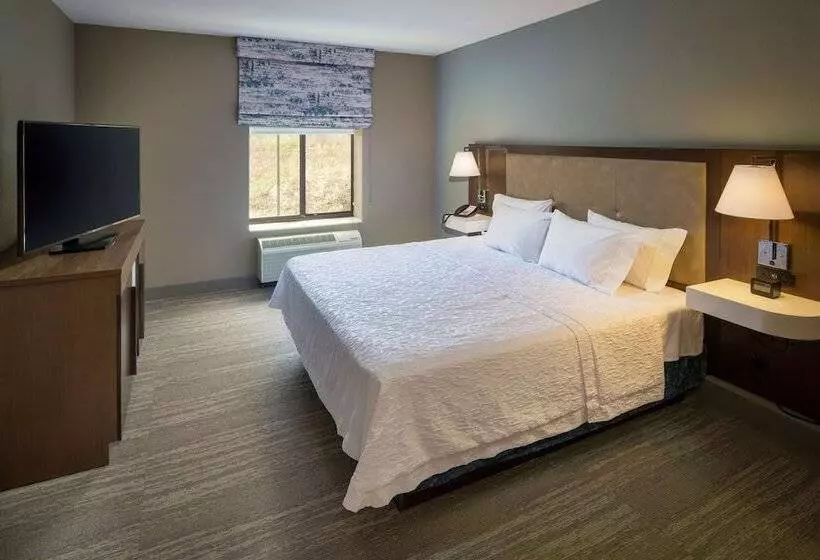 スイート, Hampton Inn & Suites Binghamton/vestal