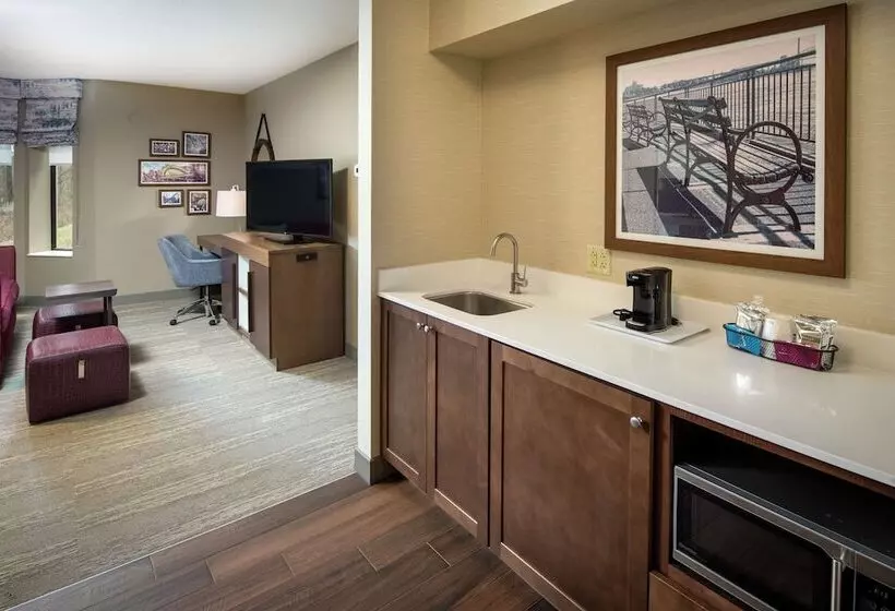 スイート, Hampton Inn & Suites Binghamton/vestal