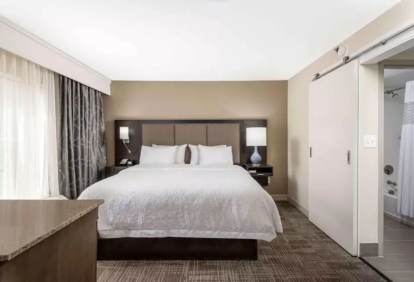 スイート, Hampton Inn & Suites Chapel Hill/durham, Area