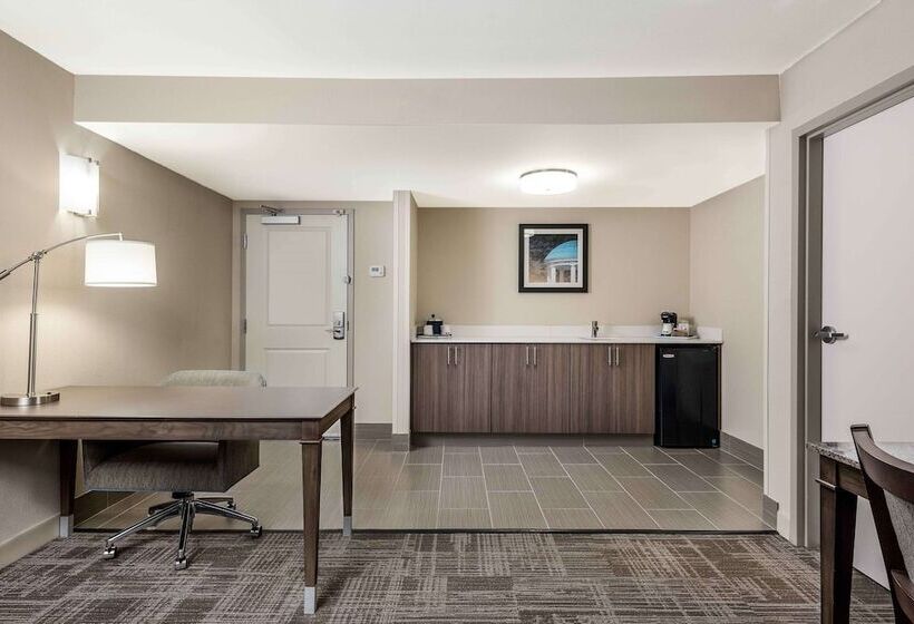 Люкс, Hampton Inn & Suites Chapel Hill/durham, Area