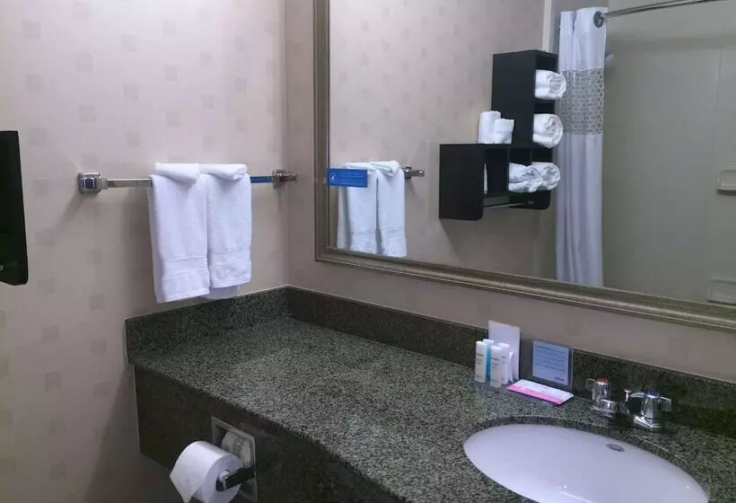 اتاق استاندارد, Hampton Inn & Suites Mountain View