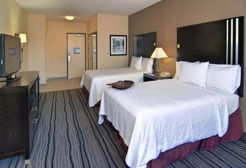 اتاق استاندارد, Hampton Inn & Suites Mountain View