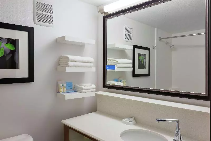 اتاق استاندارد با تخت بزرگ, Hampton Inn & Suites Mountain View