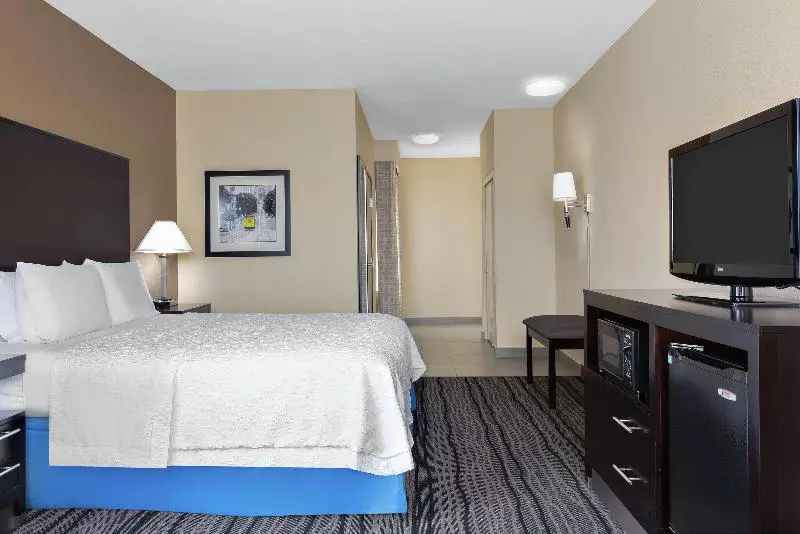 اتاق استاندارد با تخت بزرگ, Hampton Inn & Suites Mountain View