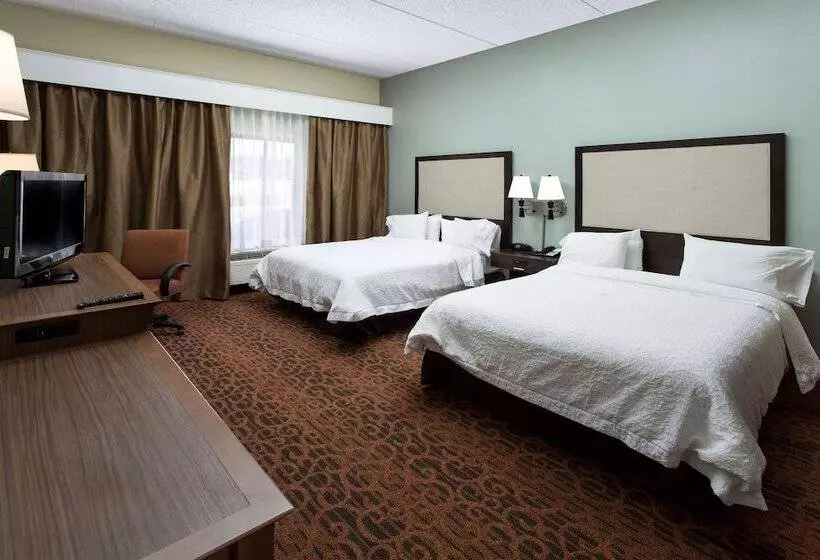スイート, Hampton Inn By Hilton Troy