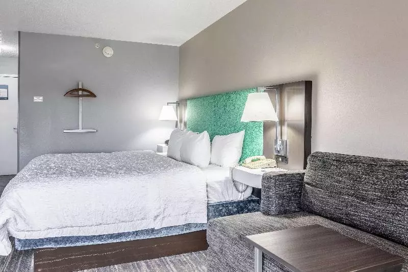 キングサイズベッドのスタンダードルーム, Hampton Inn Youngstown North