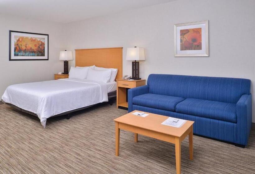 스탠다드 룸 킹사이즈 침대, Holiday Inn Express Stockton Southeast, An Ihg