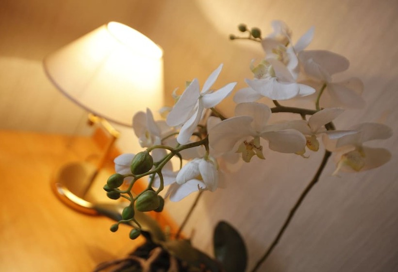 스탠다드 싱글 룸, Monte Rosa