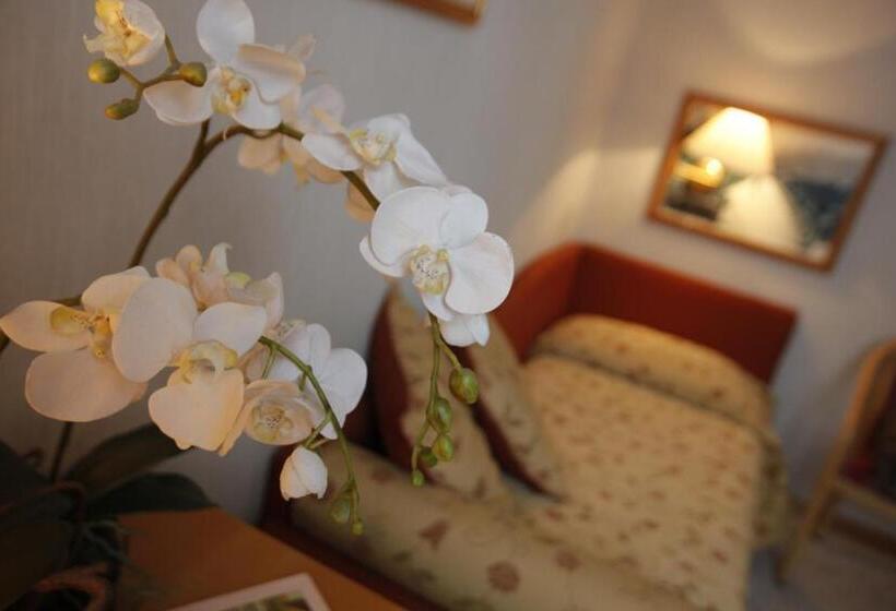 스탠다드 싱글 룸, Monte Rosa