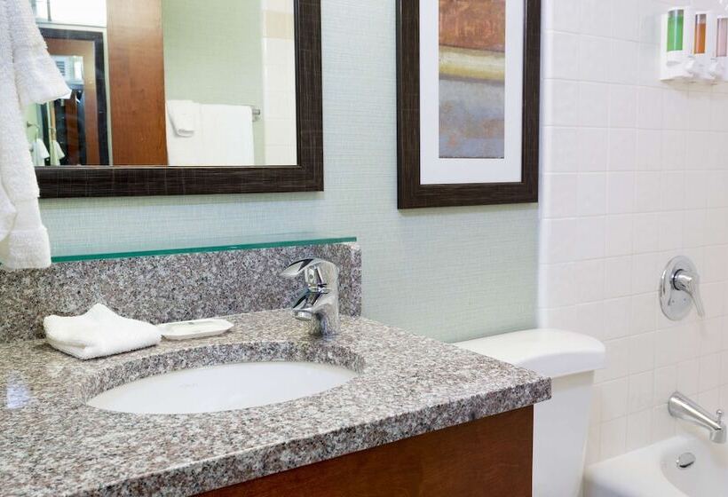 غرفة ديلوكس لذوى الاحتياجات الخاصة, Pear Tree Inn St. Louis Near Union Station