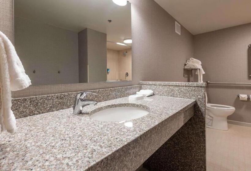 غرفة ديلوكس لذوى الاحتياجات الخاصة, Pear Tree Inn St. Louis Near Union Station