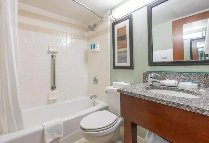 اتاق سوپریور با تخت بزرگ, Pear Tree Inn St. Louis Near Union Station