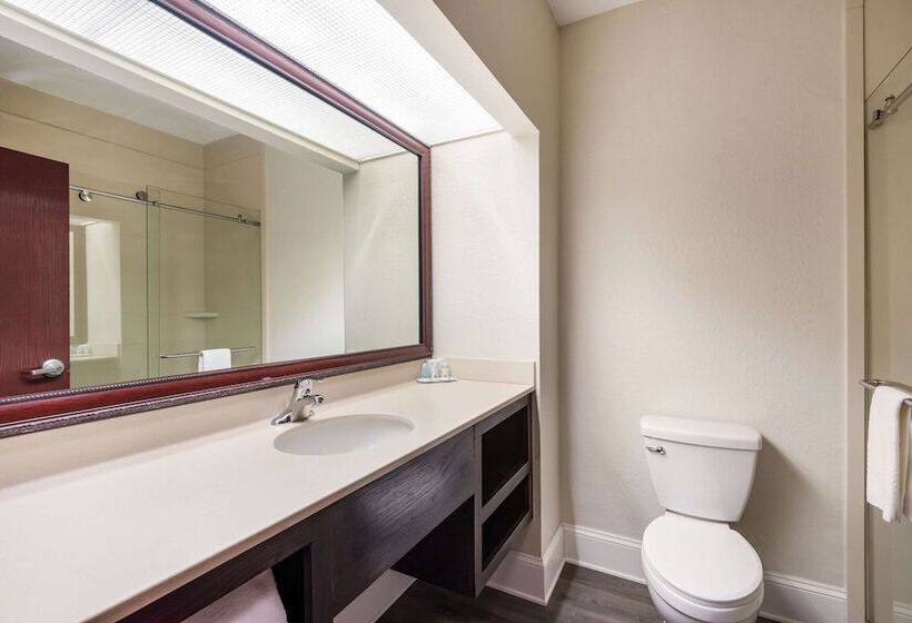 غرفه قياسيه سريرين مزدوجين, Quality Inn & Suites Quincy  Downtown