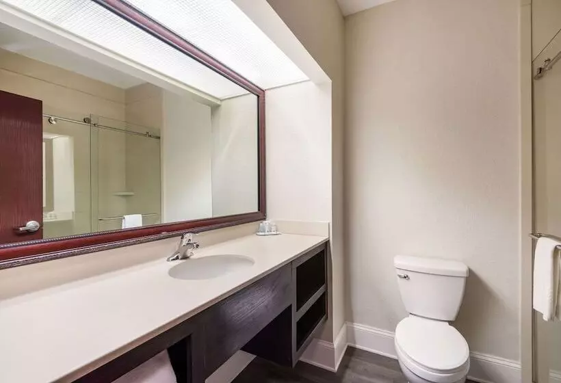 اتاق استاندارد با 2 تخت دوبل, Quality Inn & Suites Quincy  Downtown