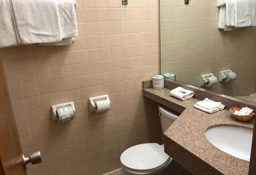 キングサイズベッドのスタンダードルーム, Red Carpet Inn Syracuse Airport