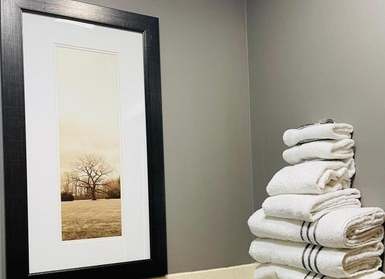 غرفة ديلوكس, Sparta Inn