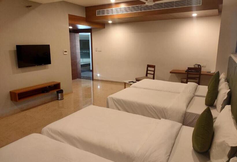 Familie Studio, Vits The Somnath Gateway