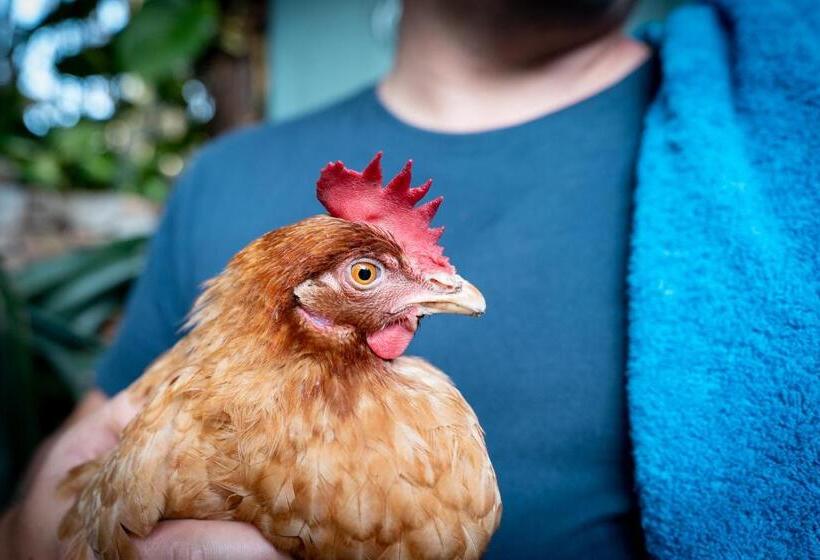 이코노미 룸, Kitesurf 1770 Beach House