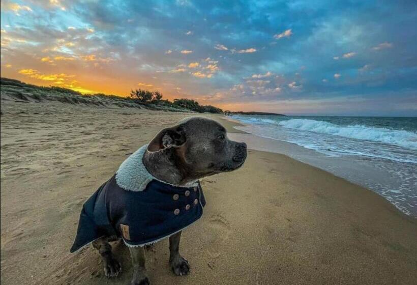 이코노미 룸, Kitesurf 1770 Beach House