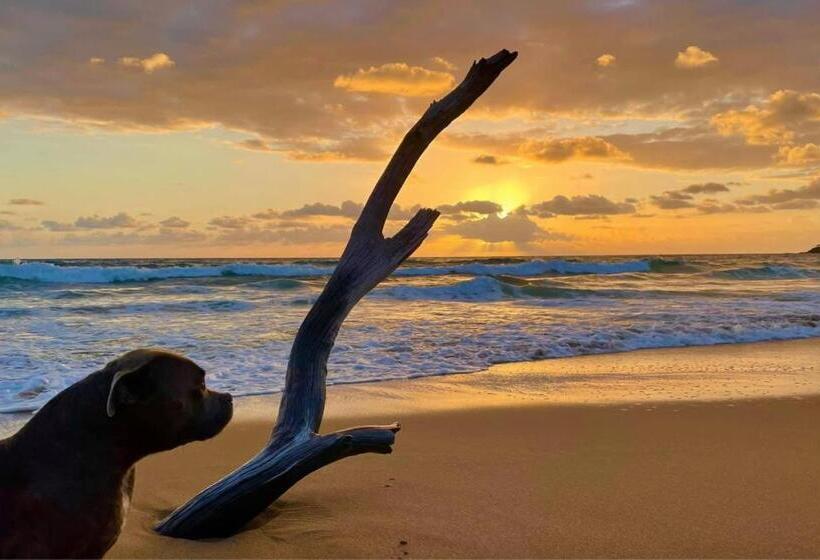 이코노미 룸, Kitesurf 1770 Beach House