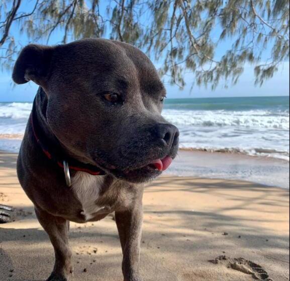 이코노미 룸, Kitesurf 1770 Beach House