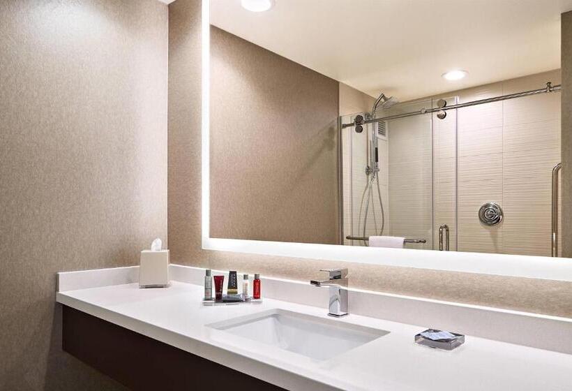 غرفة قياسية سرير كينج لذوى الإحتياجات الخاصة, Austin Marriott North